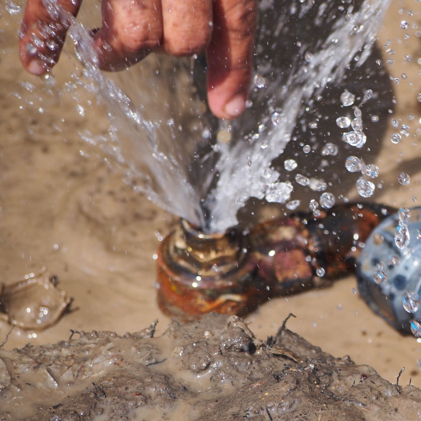 OLYMPUS DIGITAL CAMERA OLYMPUS DIGITAL CAMERA